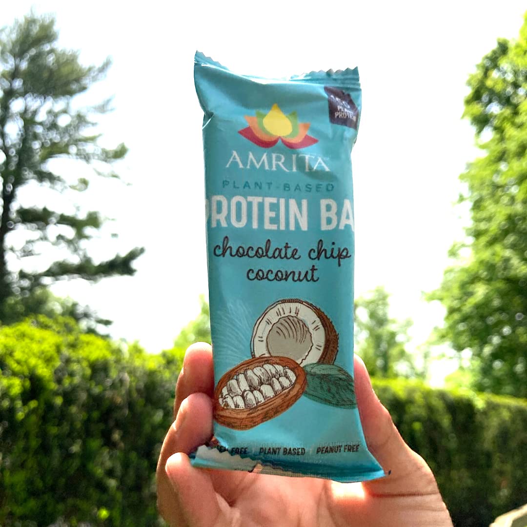 Amrita Vegan Protein Bars - Chocolate Chip Coconut, 15g Protein, Gluten & Soy Free, 12 Count (Pack of 3)