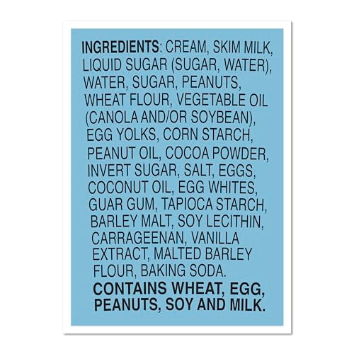 Ben & Jerrys Netflix & Chillld Peanut Butter Ice Cream Pint Non-GMO 16 oz