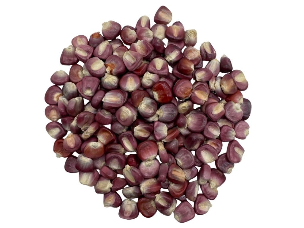 Top-High Standarduthentic Mexican Purple Hominy Corn (Ma?Z Pozolero Morado) - 5Lb.