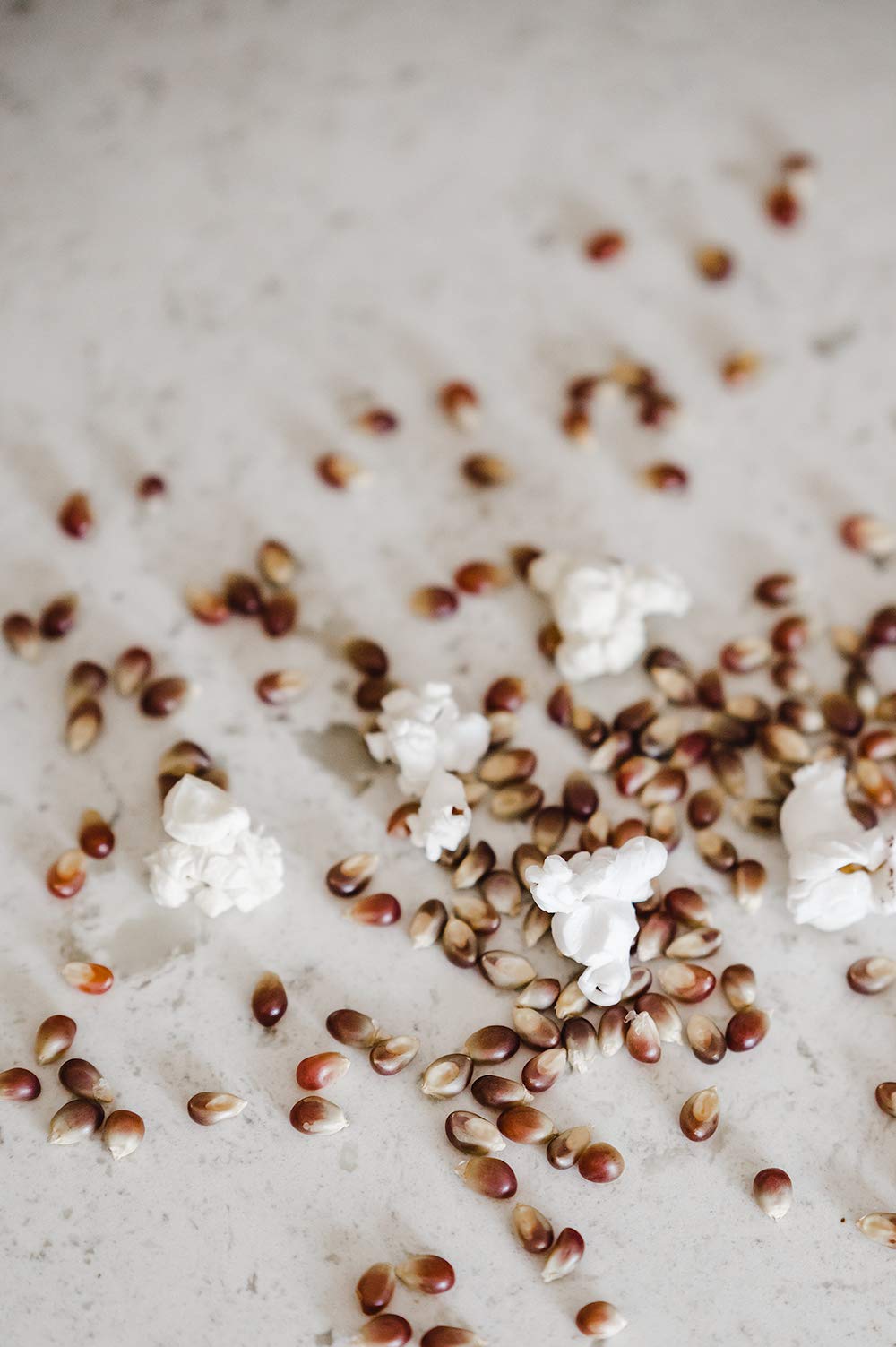 Amish Country Popcorn | 25 Lbs Bag | Purple Popcorn Kernels | Old Fashioned, Non-Gmo And Gluten Free (Purple - 25 Lbs Bag)