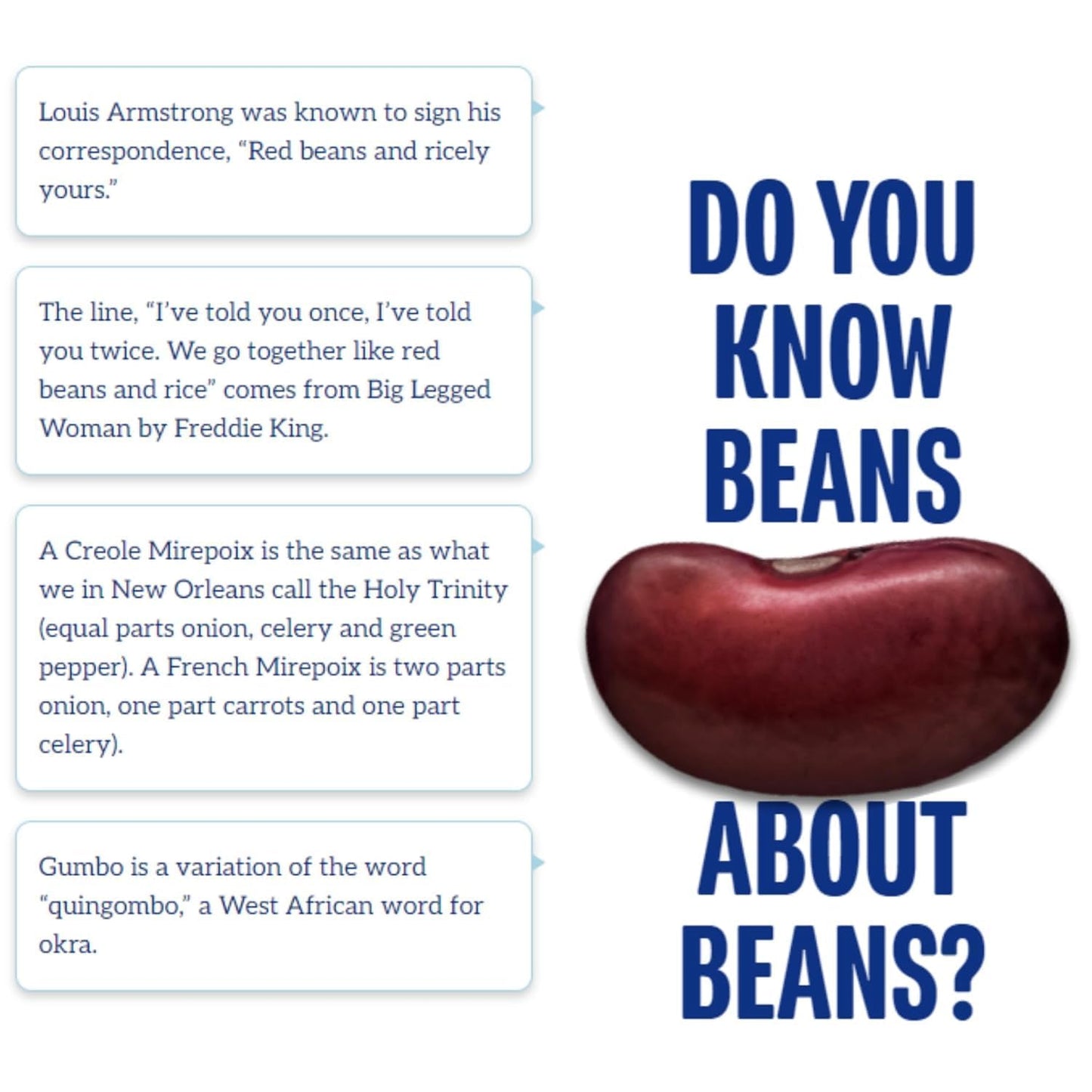 Blue Runner—Creole Cream Style Red Beans 16 Oz Can (Pack Of 12)—No Salt Added—Slow Cooked And Authentic Creole Kidney Beans