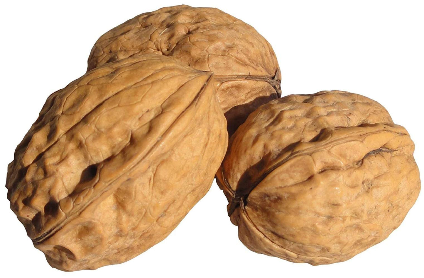 Farm Fresh Nuts In Shell Walnuts - Large Natural California Nuts - 1 LB - Brown