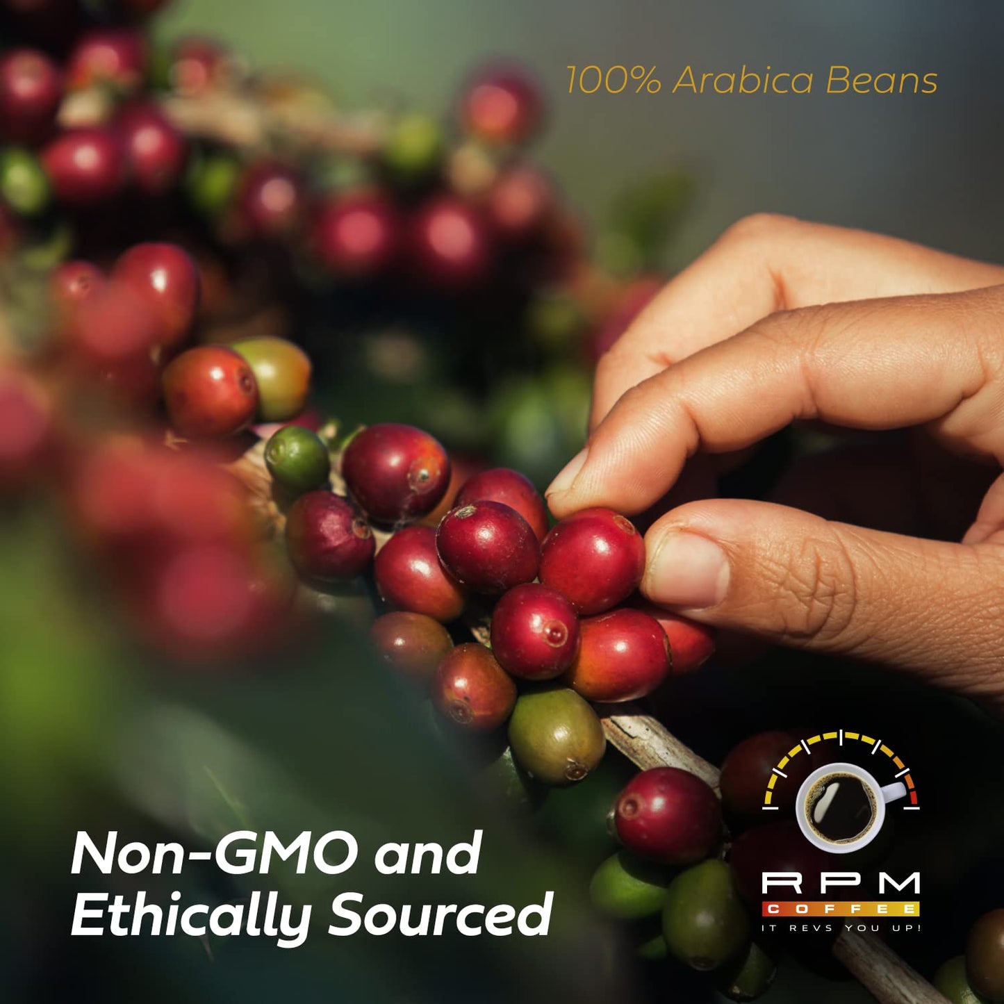 RPM Organic Coffee - Medium-Dark Roast, 100% Arabica Beans, Low Acidity, 16 Ounce