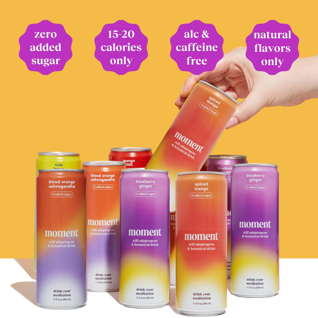 Drink Your Meditation Moment Botanical Drink Variety Pack - Adaptogens, Nootropics, 11.5 Fl Oz, 24-Pack, No Added Sugar, Keto