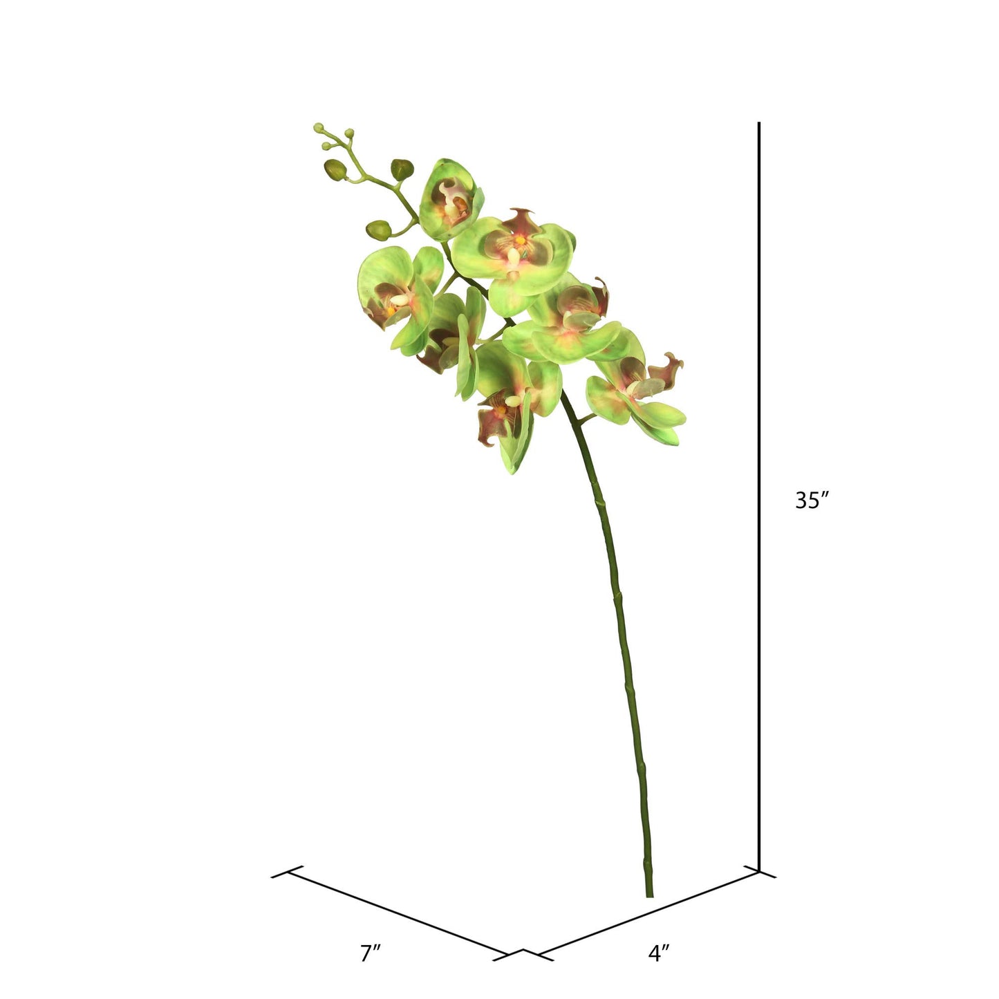 Vickerman Fa172205 Everyday Orchid Stem