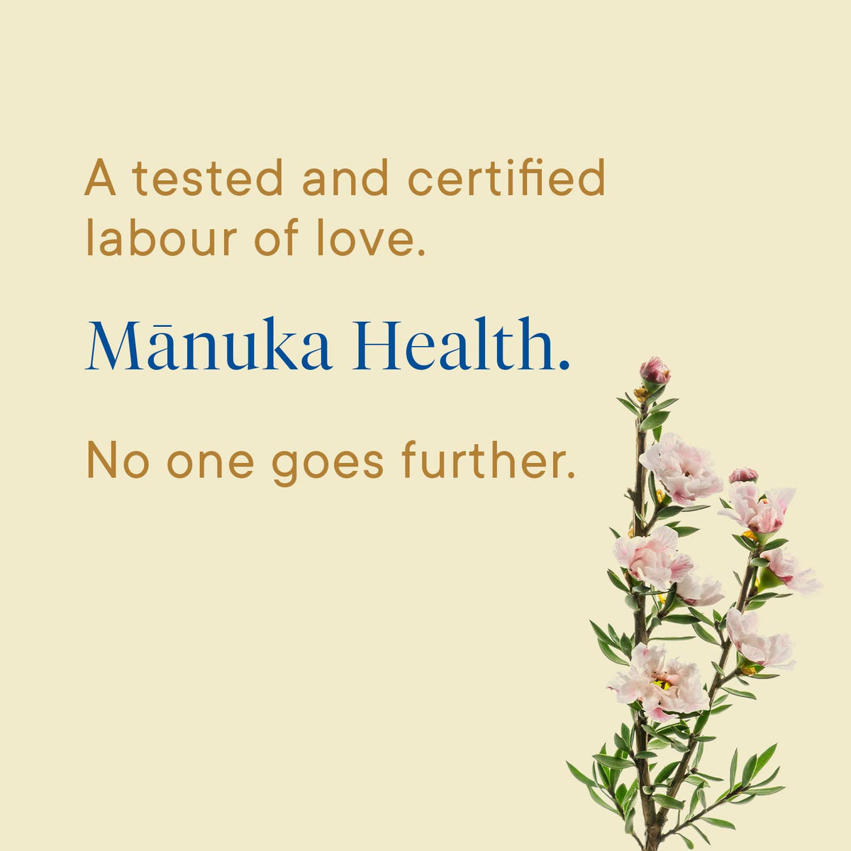 Manuka Health Umf 10+/Mgo 263+ Manuka Honey (500G/17.6Oz), Superfood, Authentic Raw Honey From New Zealand
