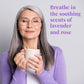 The Republic of Tea Get Relaxed Herb Tea, No Caffeine, 36 Tea Bags, Model SYNCHKG009279