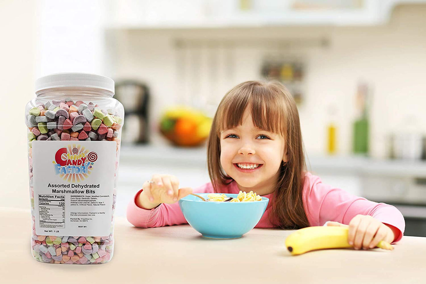 Sarah s Candy Factory Assorted Dehydrated Marshmallow Bits in Jar, 1lb PACK 1