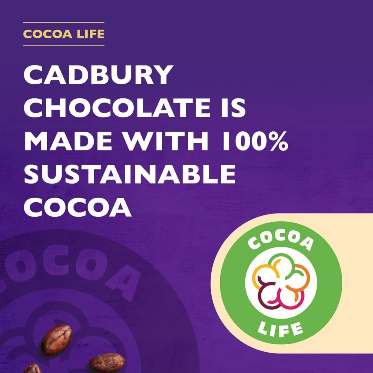 Cadbury Original Drinking Chocolate 500Gram