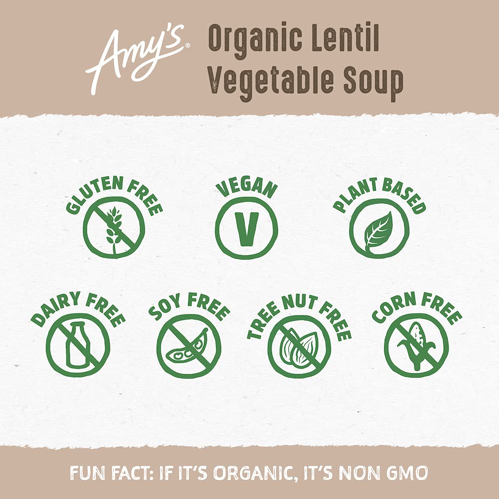 Amy's Lentil Vegetable Soup - 14.5 oz