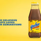 [CAMEO] - Chocolate Drink, Shake It, Chocolate Milk | 15.5oz Glass Bottle (10 Pack)