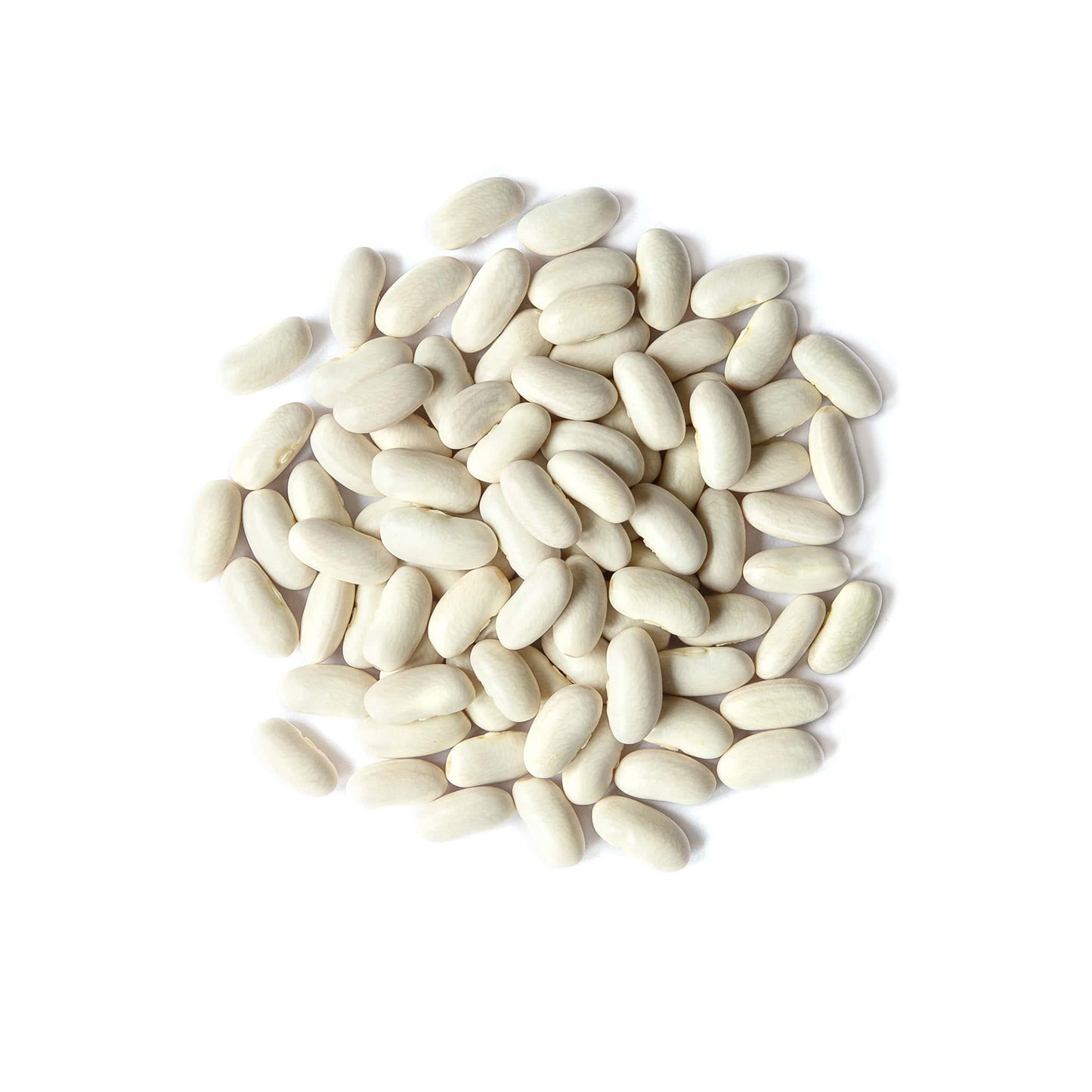 Food To Live Organic Cannellini Beans, 2 Pounds - Non-Gmo, Dried White Kidney Beans, Sproutable, Vegan, Kosher, Bulk. Pre-Soak N
