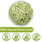 ULTHMOK Premium Senna Tea Bags, 100% Natural, Caffeine Free, 100 Count