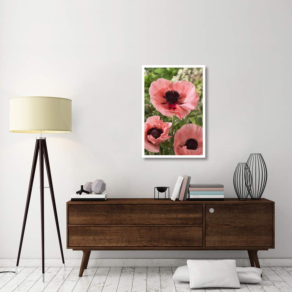 Oriental Poppy Salmon Variety Flowers-Paper Art-26''X38''