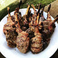 Flavor Infused Tenderizing (FIT) Brine - Garlic & Herb  16oz | enhanced Meat Tenderizer & Seasoning | Infuses Fresh  Authentic Flavor & Juicy Texture | All-Natural  Easy-to-Use for Chicken  Turkey  Lamb  Salmon & More! Quality Made in Texas.