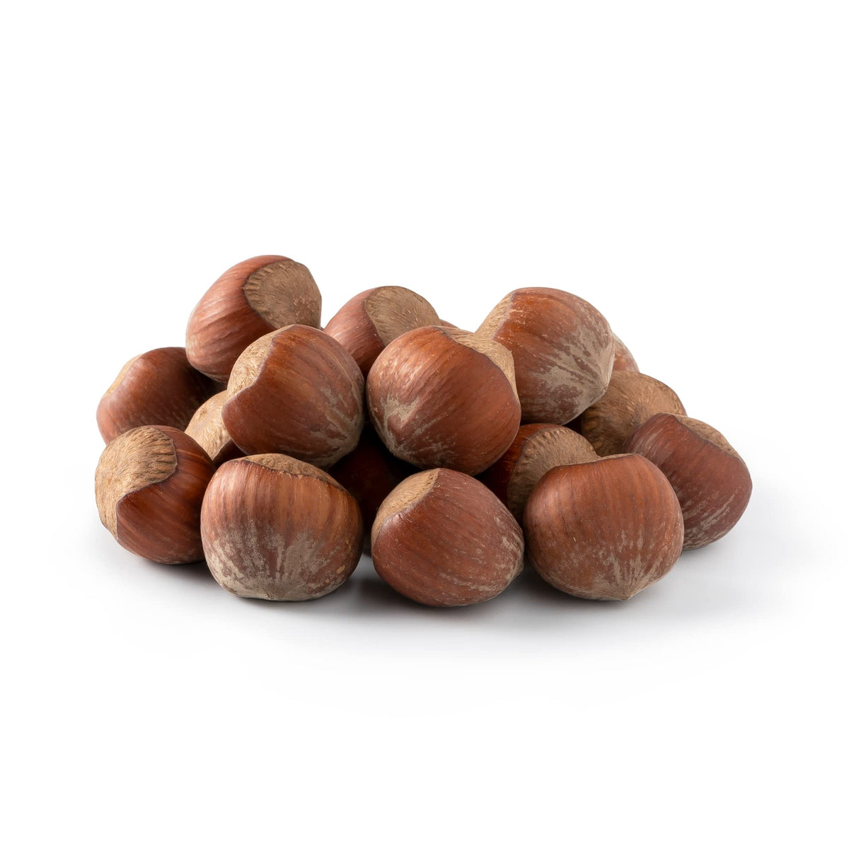 NUTS U.S. Oregon Hazelnuts In Shell - Whole, Raw, Unsalted - 1 Pound Resealable Bag