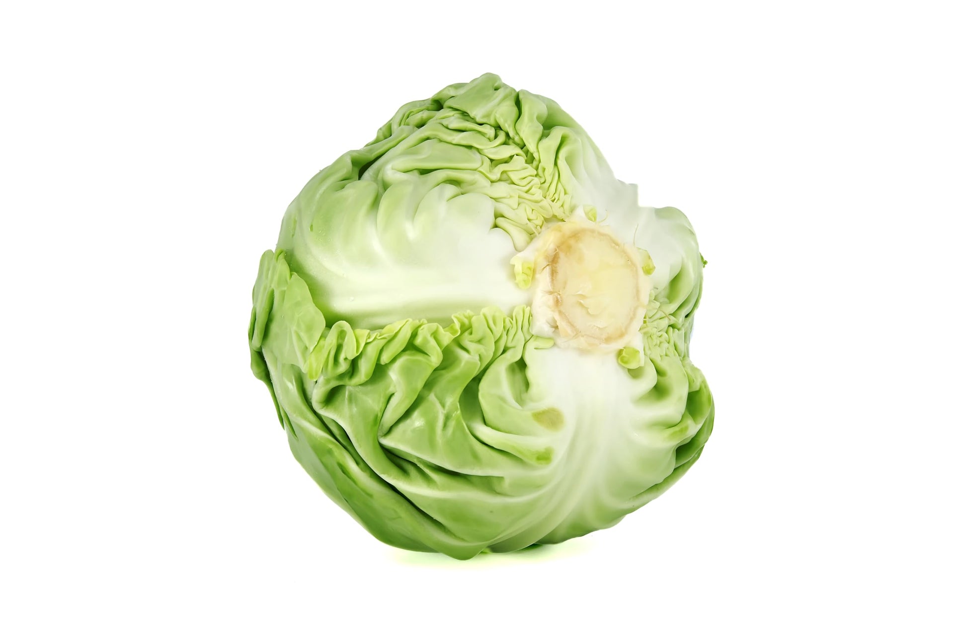 Fresh Organic Green Cabbage by RawJoy Farms, Pack of 1