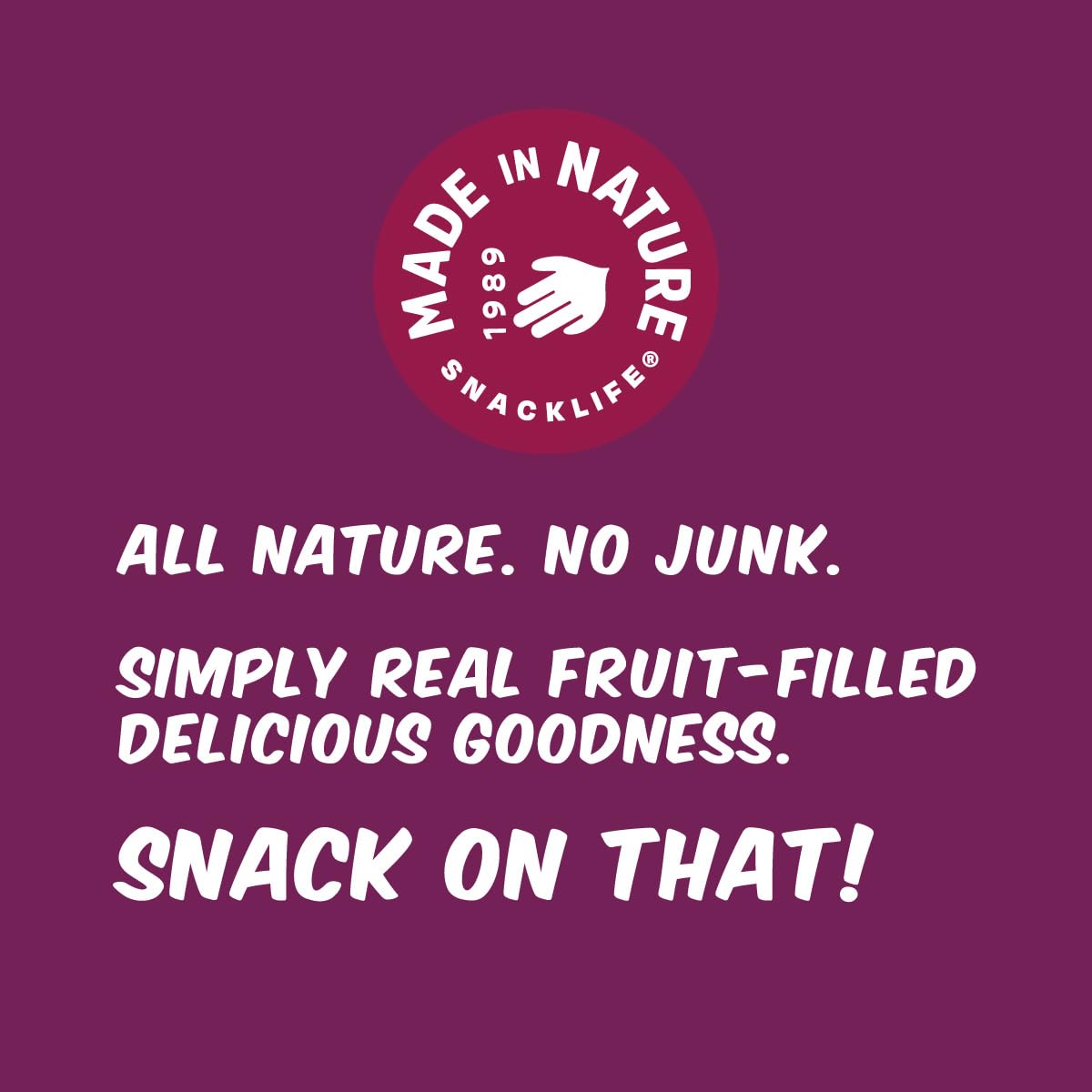 Made in Nature Organic Fig N Oat Bars, 1.4 Ounce 5 Count (3 Pack) - Original Fig, Raspberry, and Strawberry, Organic, Non-GMO, N
