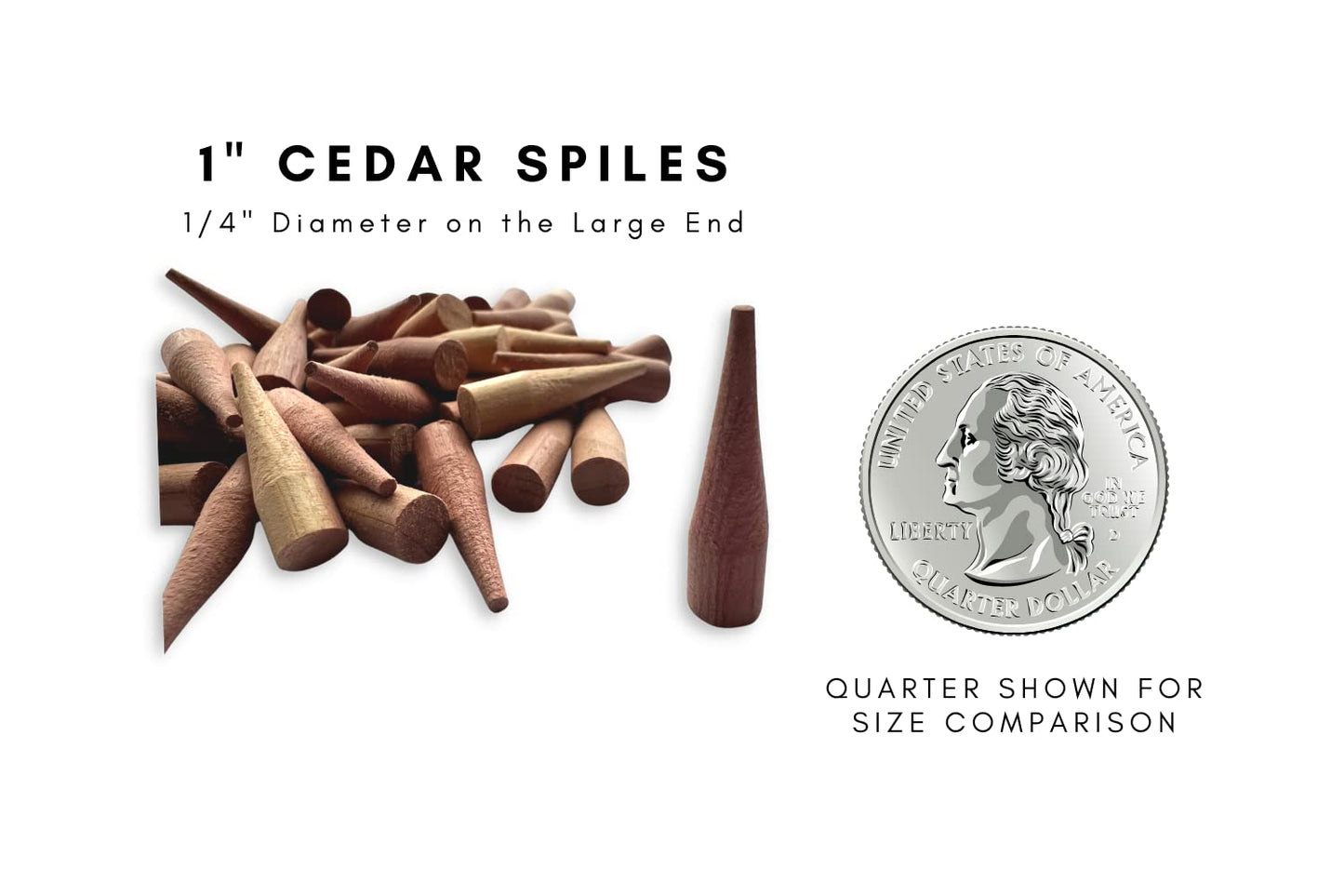 Balsam Point Workshop Cedar Spiles for Barrels - 1-Inch Size, 50-Pack