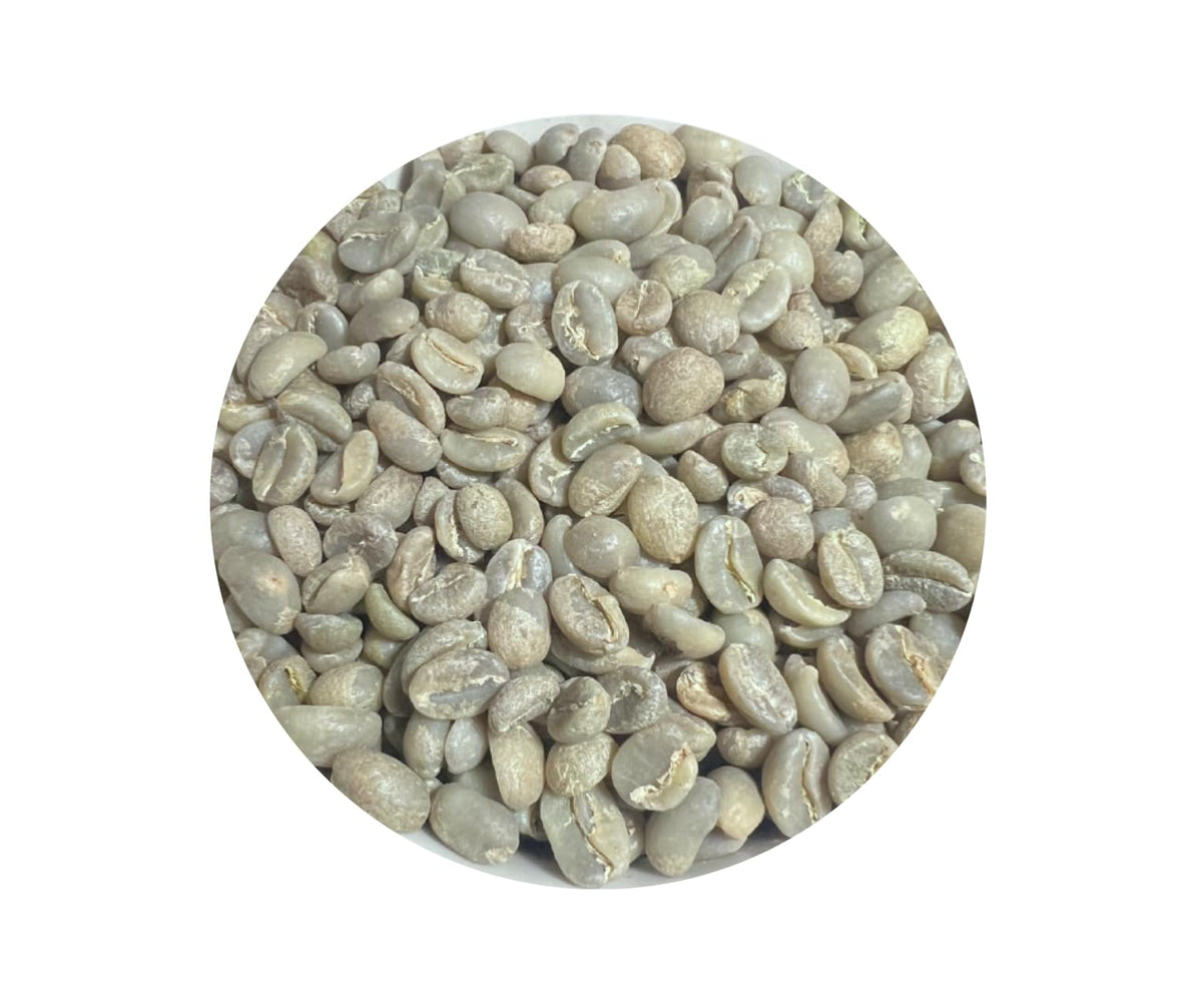 Roastika - Premium Green Coffee Bean - 20lb - Single Origin from Ethiopia Yirgacheffe - Unroasted Coffee Bean