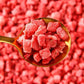 WEIJUEJIYI Frozen dried strawberries, 100% natural dehydrated strawberry slices(5  5cm),vegetarian snack, gluten-free, suitable