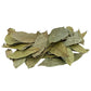 Yerbero Graviola Soursop Leaves - 4 oz (330+ Leaves) | 100% All Natural Fresh Tea | Premium Wildcrafted from Mexico