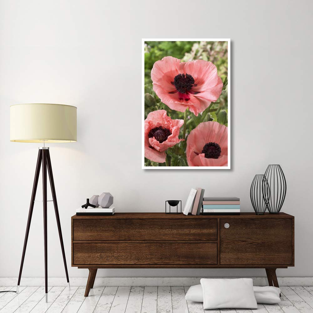 Oriental Poppy Salmon Variety Flowers-Paper Art-34''X50''