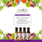 Simple Girl Organic Salad Dressing Variety - Sweet Vinaigrette, Balsamic Vinaigrette, Sweet Mustard And Citrus Ginger - Sugar Free Dressings, Low/No Carb, Fat Free, Diabetic, Gluten Free, Vegan, Paleo, And Keto Friendly - 4 Pack (12 Fl Ounce Each)