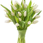 KaBloom Flowers - Mother's Day Collection - PREMIUM 20 White Tulips - Farm Direct Wholesale Fresh Flowers. Gift for Birthday, An
