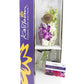 Kabloom Flowers - Mother'S Day Collection - 5 Purple And 5 White Orchid With Vase. Gift For Birthday, Sympathy, Anniversary, Get