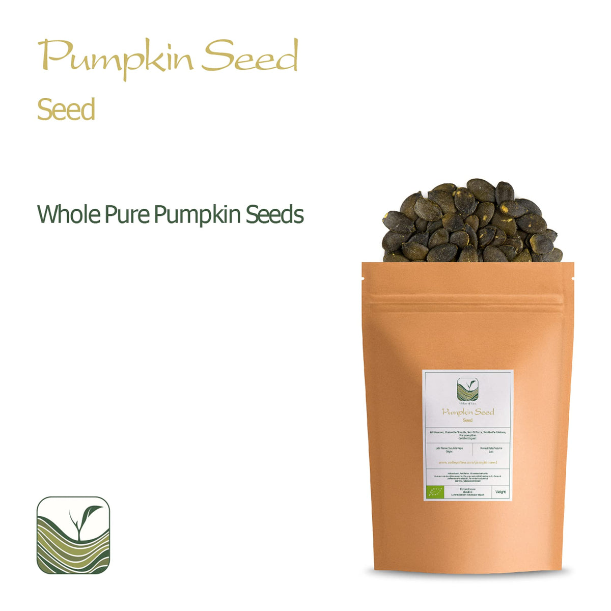 Pumpkin Seeds Raw Organic Seed - Raw Pumpkin Seeds Organic Pumpkin Raw Seeds Raw Pumpkin Seed Organic Raw Seed Punking Seeds
