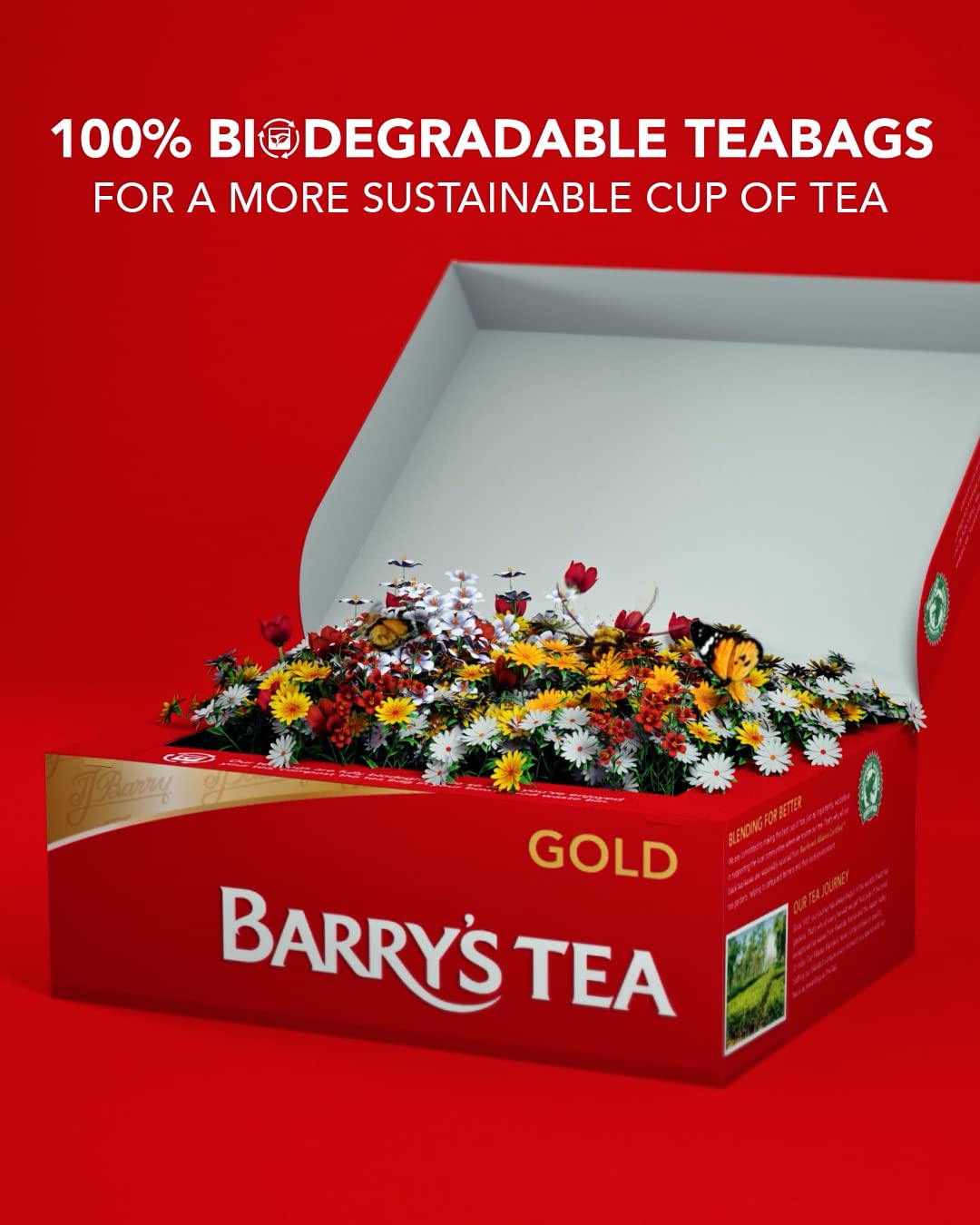 Barrys Tea Irish Gold Blend
