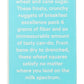 365 by Whole Foods Market Frosted Wheat Squares Cereal - 16 Ounce Pack, Nutritious Breakfast Option