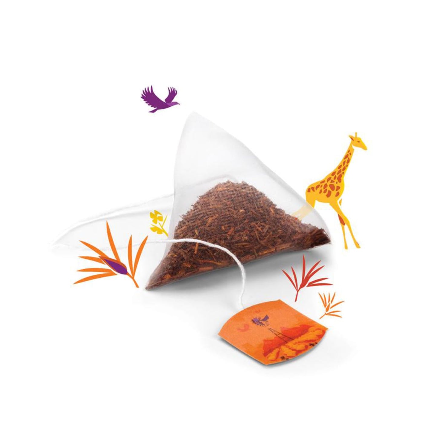 Twinings Discovery Collection Golden Caramel Rooibos, 30 Large Leaf Pyramid Tea Bags