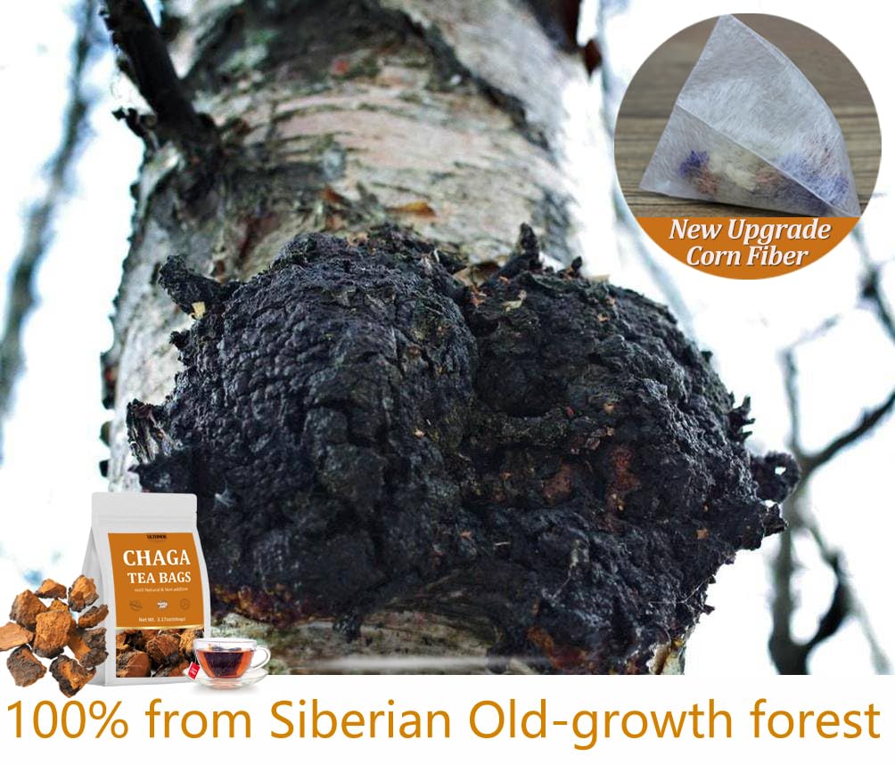ULTHMOK Chaga Tea Bags, 100% Pure Siberian Wild Harvest, Caffeine Free, 60 Count