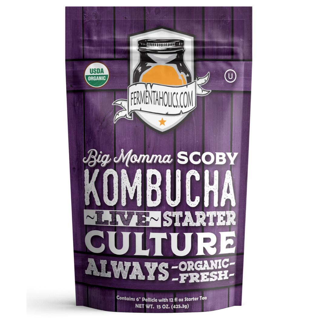 Fermentaholics BIG MOMMA Kombucha SCOBY With Twelve Ounces of Starter Tea - Live Kombucha Starter Culture | Extra Large 6 Pellic