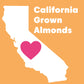 Wilderness Poets, Roasted Almond Butter - Organic, Smooth, Creamy, No Salt, Unsweetened Nut Butter - Bulk Size (7 Pound - 1 Gall