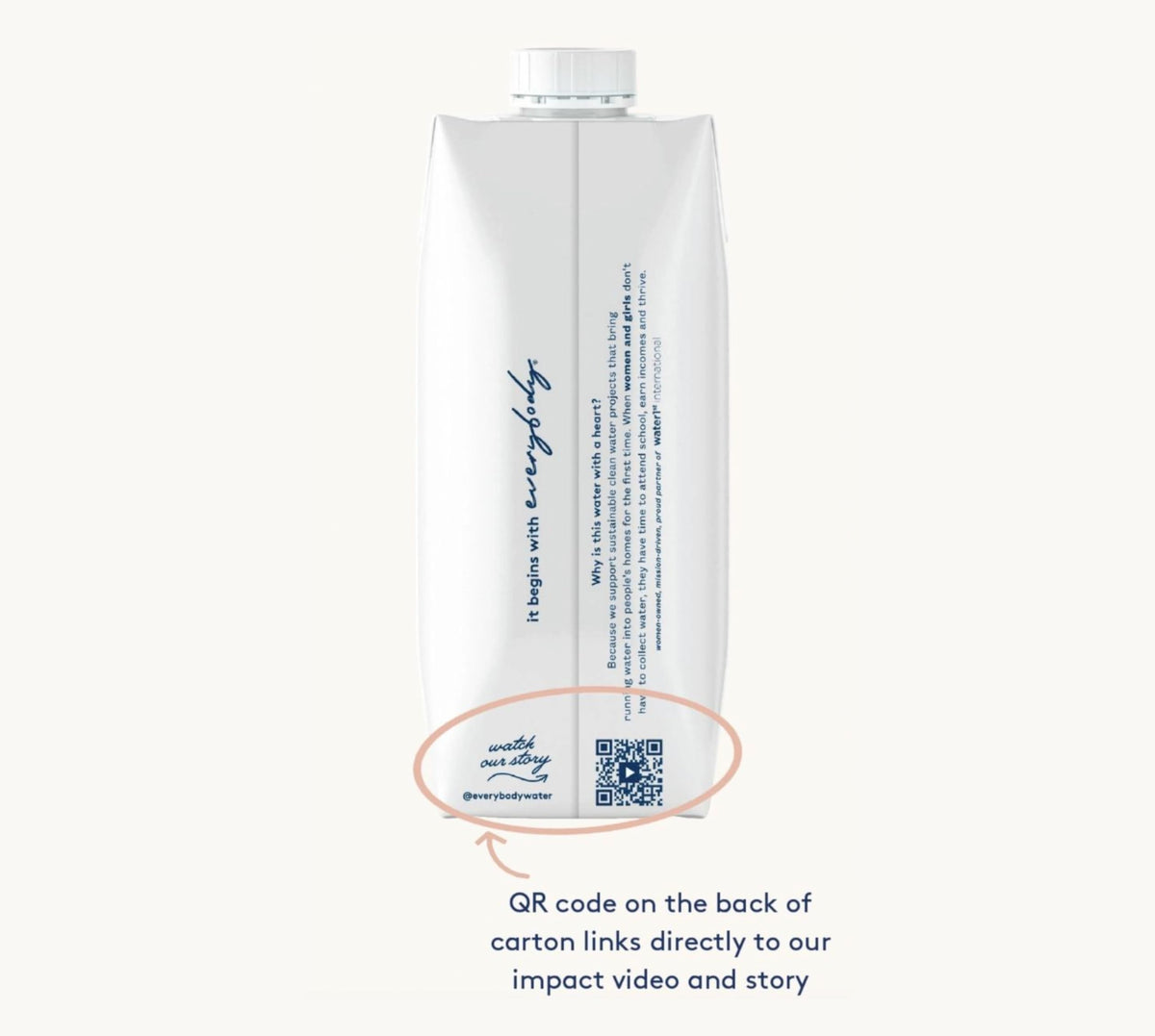 Everybody Water  Boxed Water  enhanced Filtered Still Waters  12 Pack Reverse Osmosis  Bulk Eco-Friendly  BPA Free  Fully Recyclable Plant Based Carton - Certified Woman Owned 16.9 Fl Oz / 500ml Carton (Pack of 12)