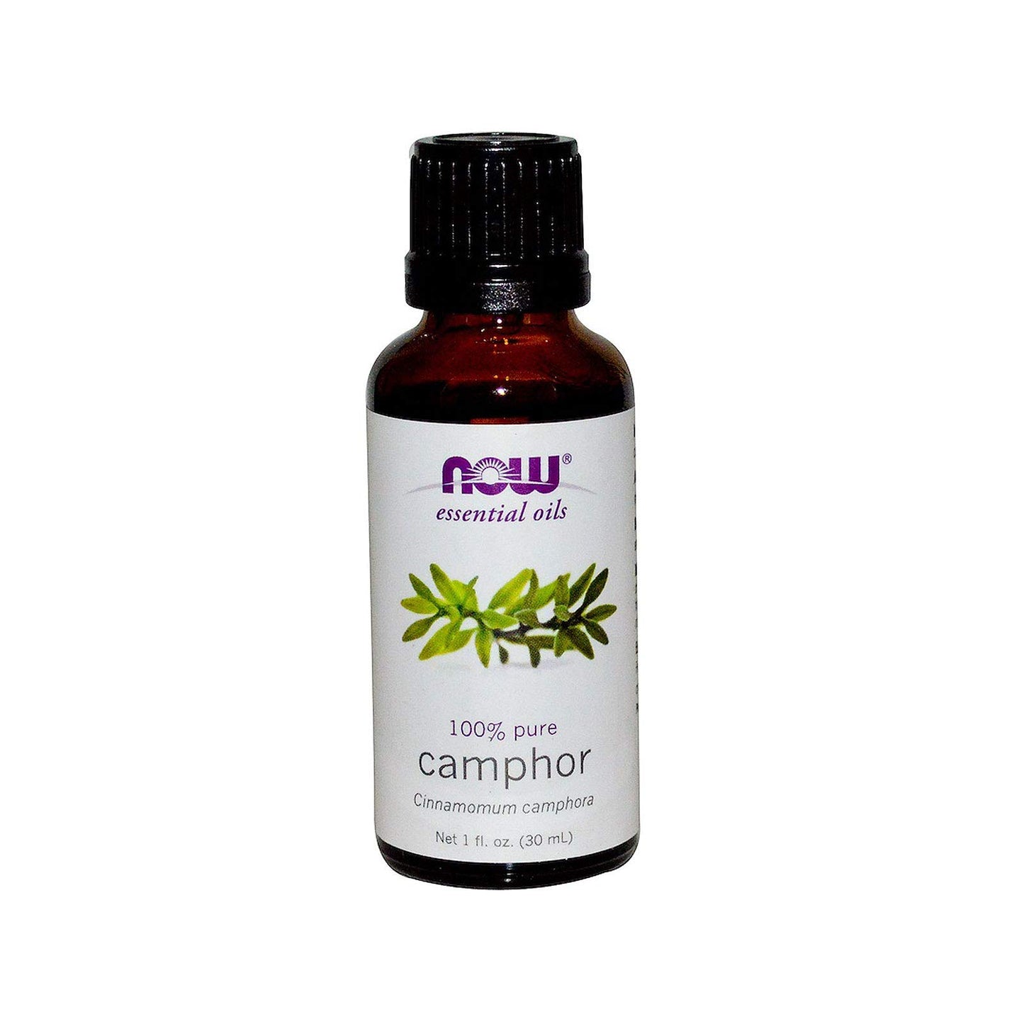 Now Foods Essential Oils Camphor - 1 Fl Oz