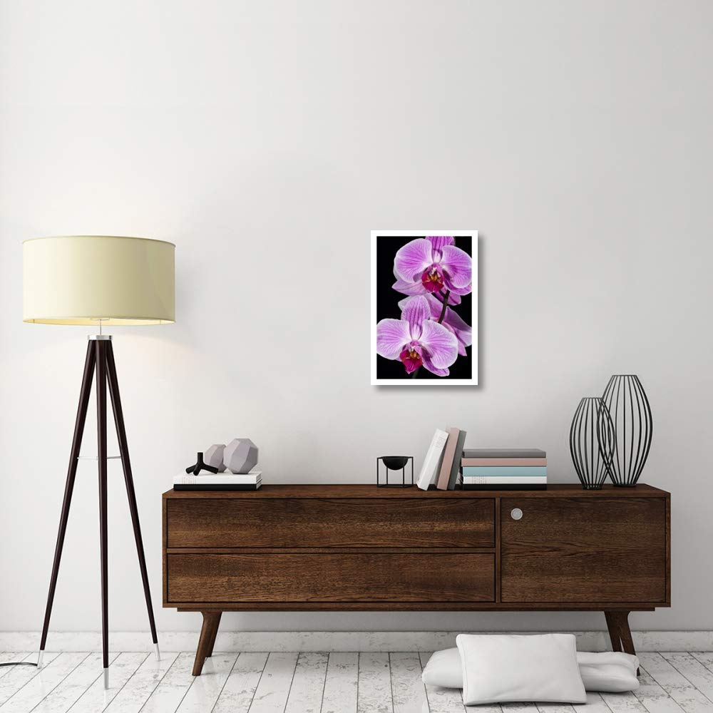 Orchid Flowering, Beveren-Waas, Belgium-Paper Art-18''X26''