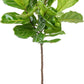 Costa Farms Fiddle Leaf Fig Tree Live Plant in Decorative Pot, Large Indoor Houseplant, Perfect for Home, Room, or Office Decor,