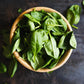 Olive & Vine Basil Leaves, Fresh Herbal Flavor, Seasoning For Pasta, Pesto, Salads, Rich Tradition, Authentic Taste, For Global Recipes (2.72 Ounce)