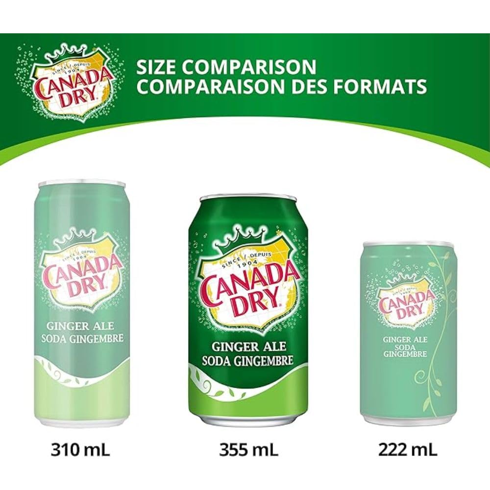 Canada Dry Ginger Ale, 12 Count, 355 ml Cans, Pack of 12, Refreshing Soft Drink
