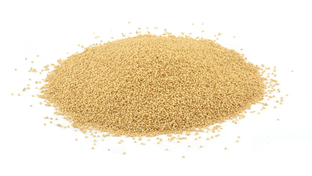 Organic Whole Grain Amaranth Grain Seeds non-GMO RAW non-GMO Vegan Bulk (3LB)