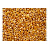 Bulk Grains 100% Organic Yellow Popcorn Bulk 5 Lbs