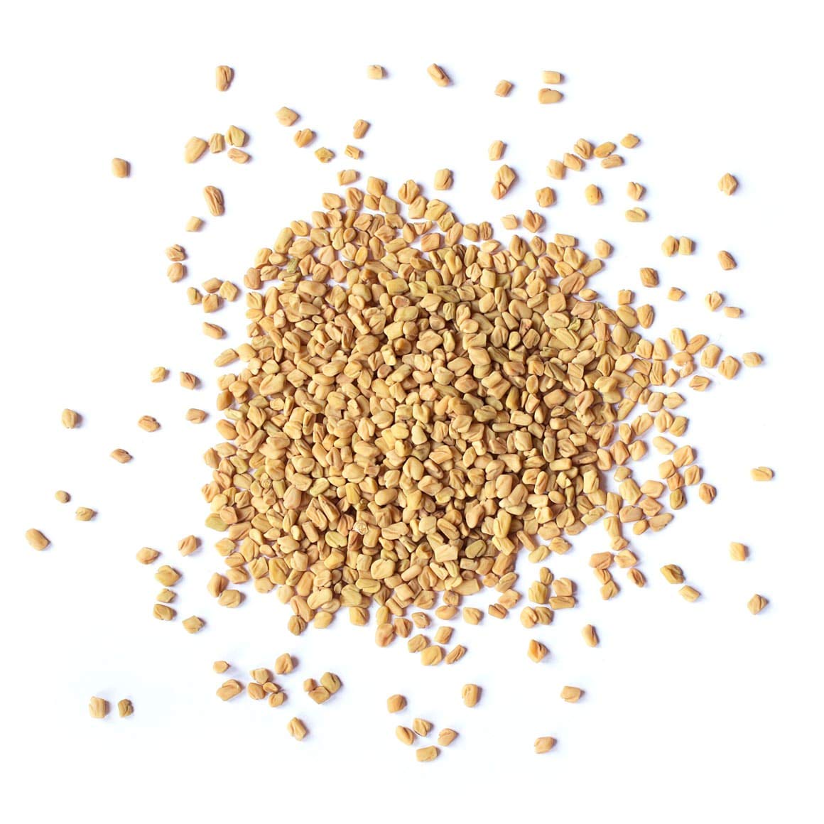Food to Live Fenugreek Seeds - Non-GMO, Vegan, Bulk Methi, 5 Pound