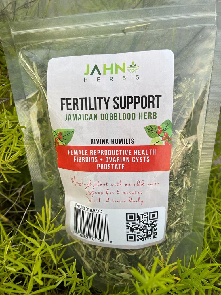 Jamaican Dog Blood Herb (Fertility Bush) Rivina Humilis