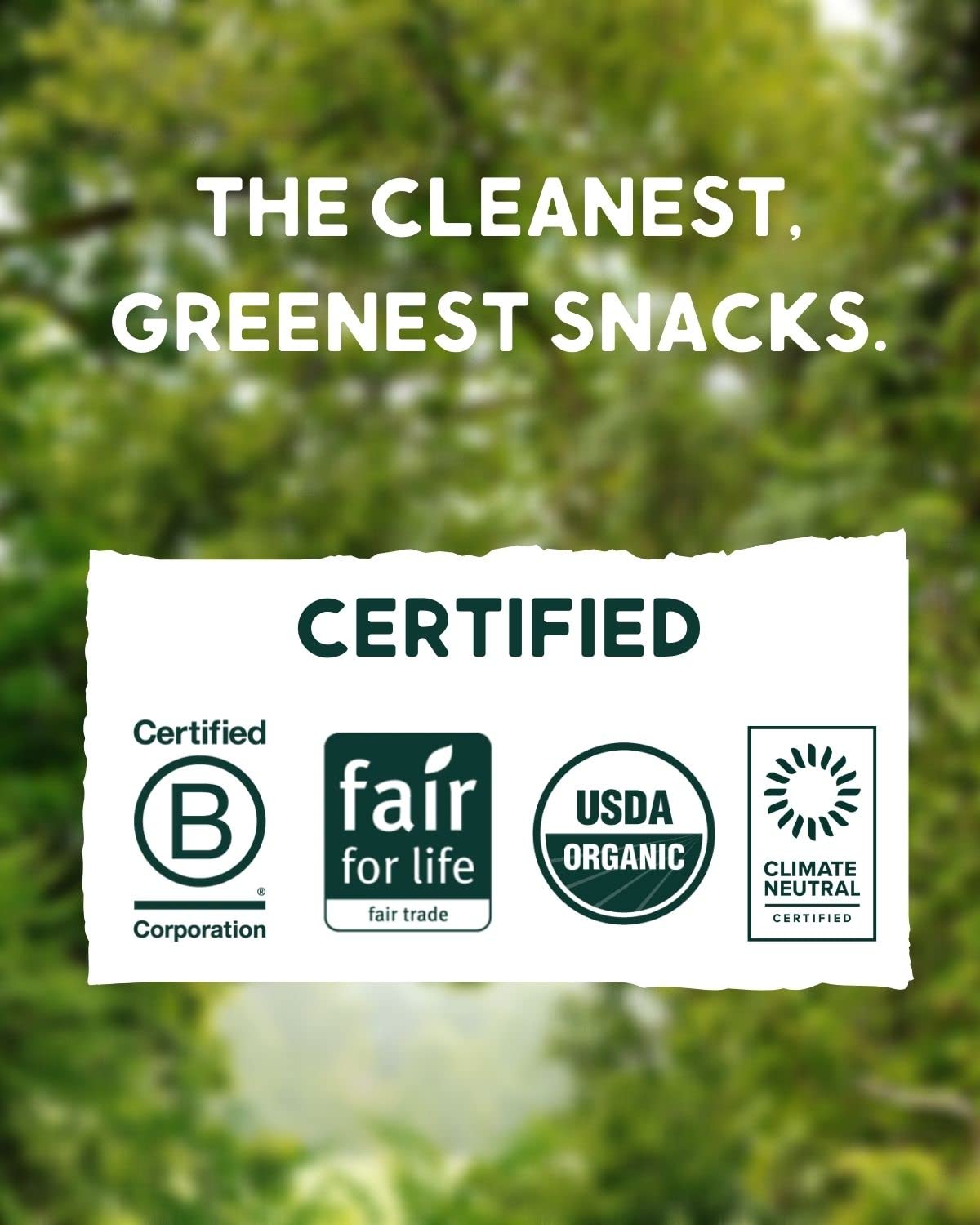 Alter Eco Dark Chocolate Bars, Fair Trade, Organic, Non-GMO, Gluten Free, 2.65 Ounce