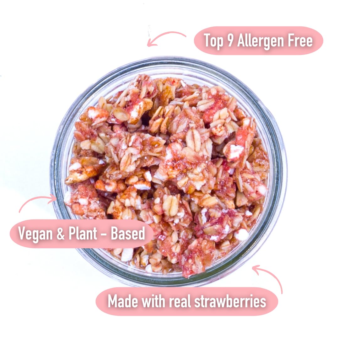 Safe + Fair Strawberry Shortcake Granola - Gluten-Free, Dairy Free and Vegan Breakfast, Snack or Dessert - Free From Top 9 Aller