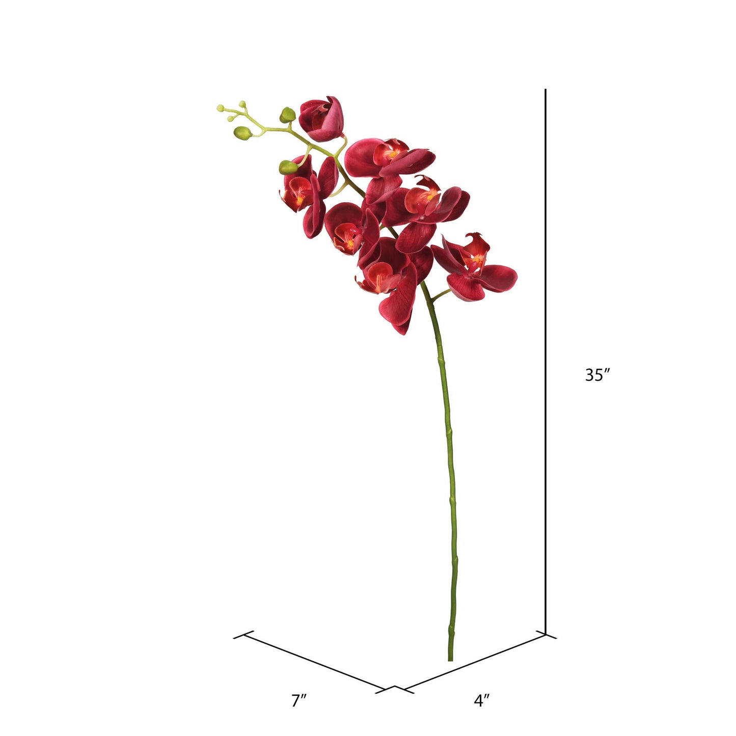 Vickerman Fa172202 Everyday Orchid Stem